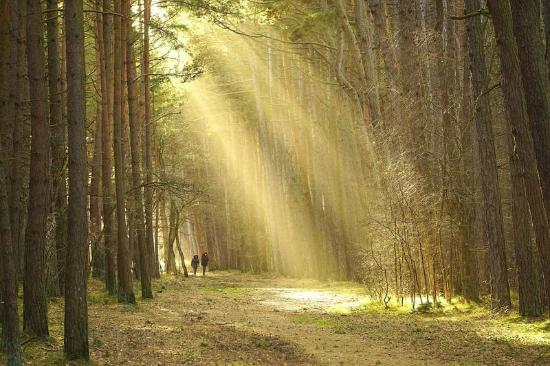 Walking in nature